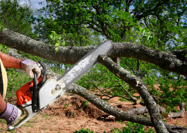 Lawn Irrigation Installation and Maintenance in Boley, OK